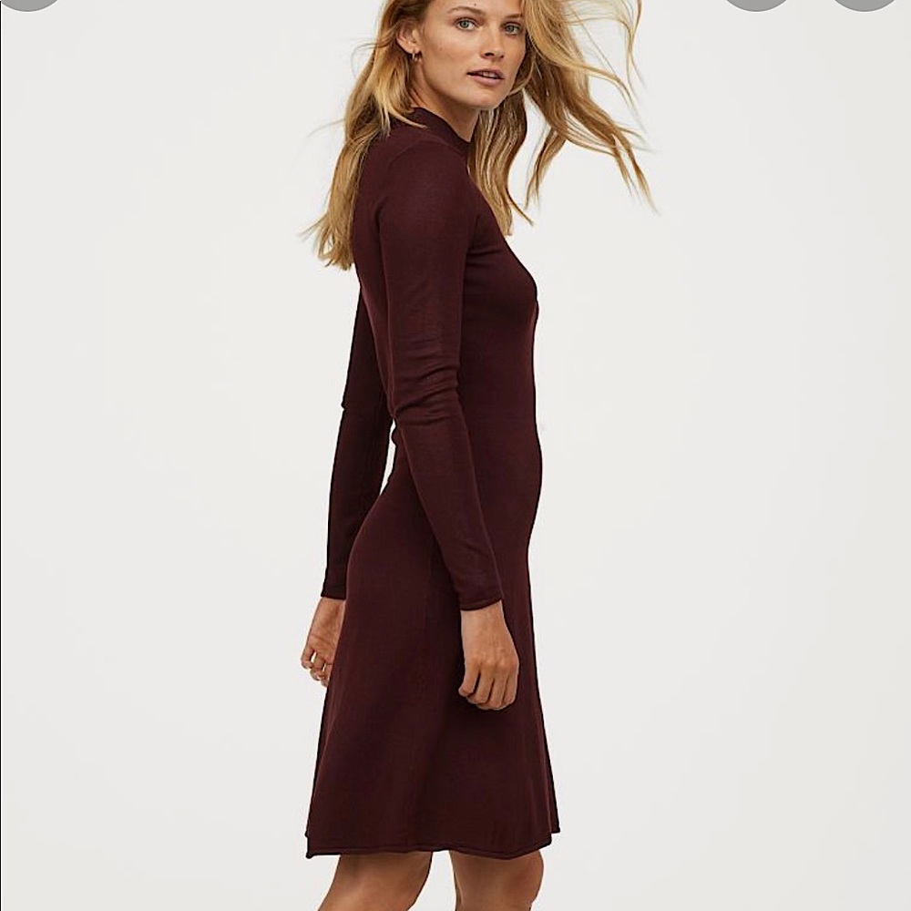 H&M burgundy cozy sweater dress
